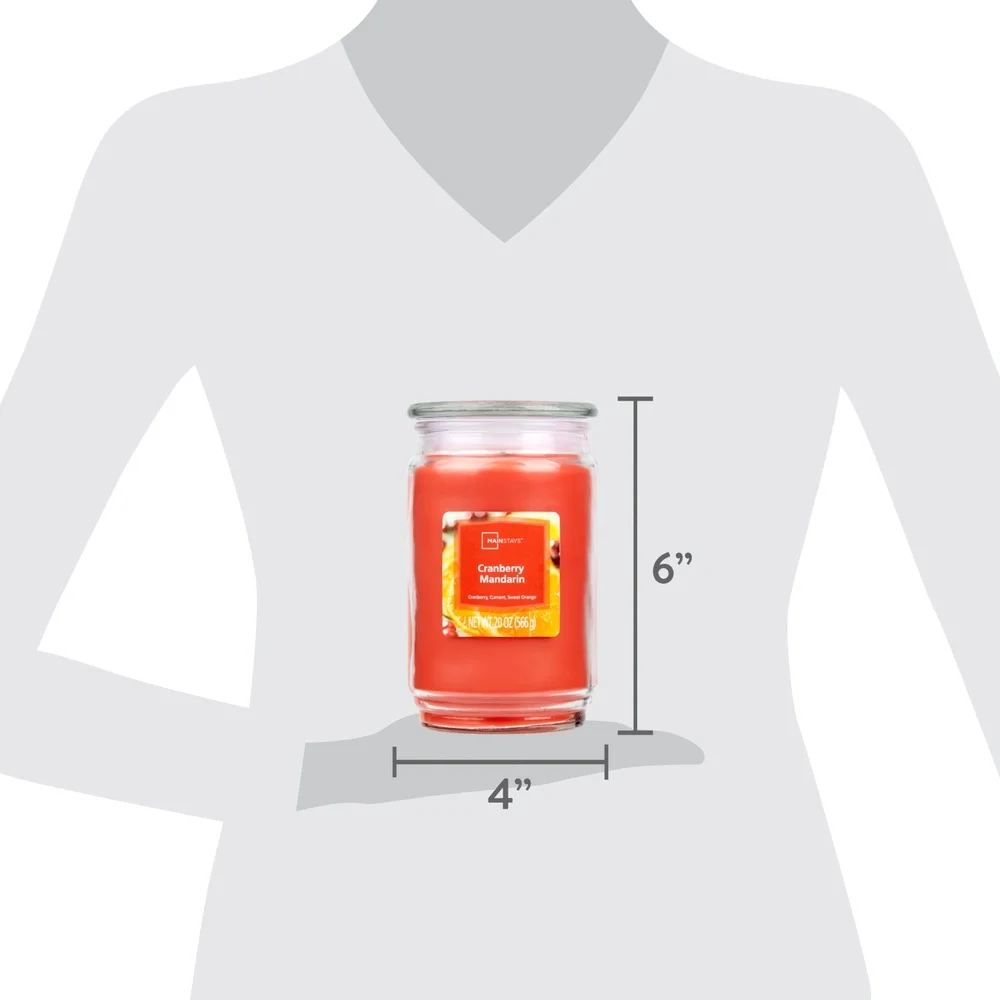 Candela in vaso di vetro profumata alla mirtillo rosso mandarino 20 oz Stoppino singolo Aroma fruttato Rilassante Decorazioni per la casa Regalo Brucia 100-120 ore