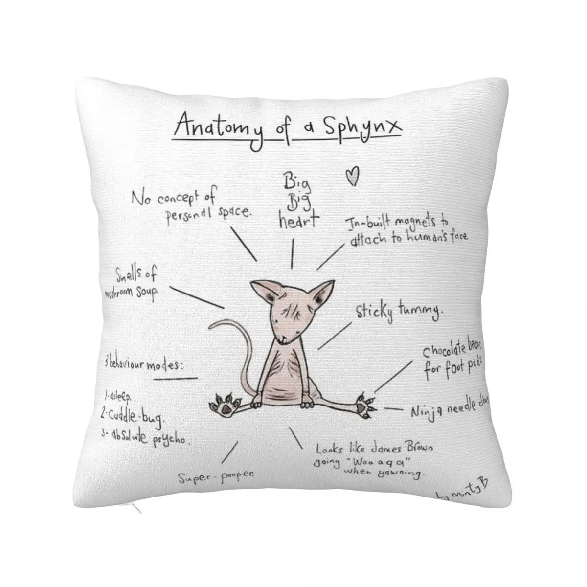 

Anatomy Of A Sphynx Pillowcase Home Decoration Cushions For Living Room Pillow Case Pillow Cover