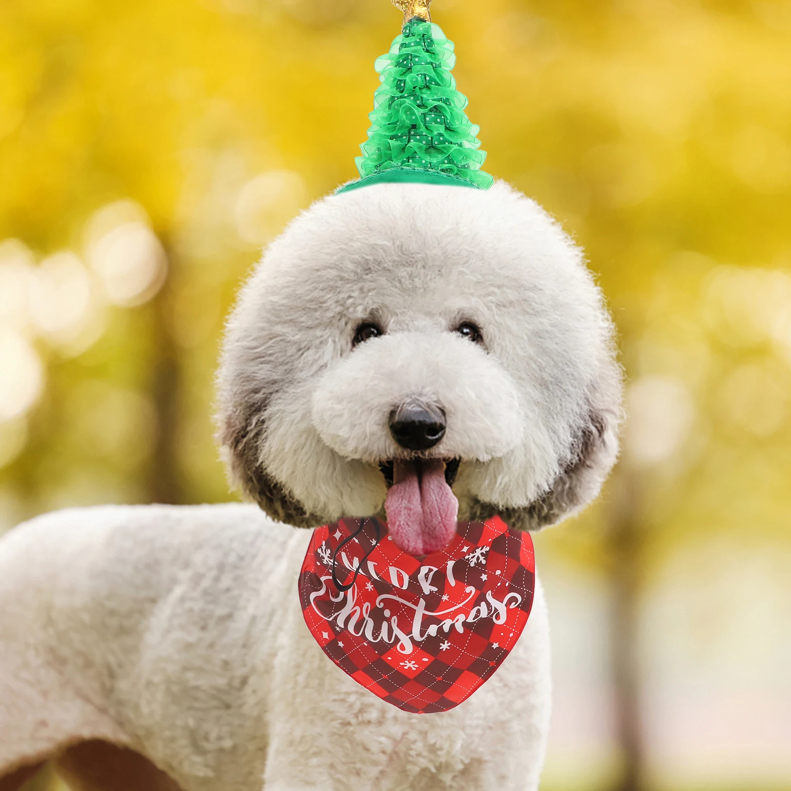 

Has Pet Santa Hat Dog Accessories Hats Puppy Accessory Knitted Scarf Winter Mother