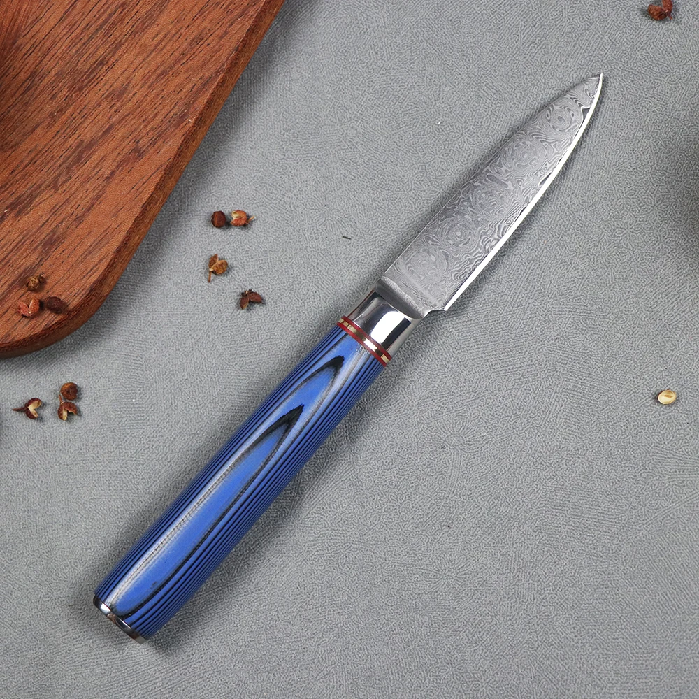 3.2 Inch Fruit Knife 10Cr15CoMoV Core 67 Layers Damascus Steel G10 Handle Kitchen Household