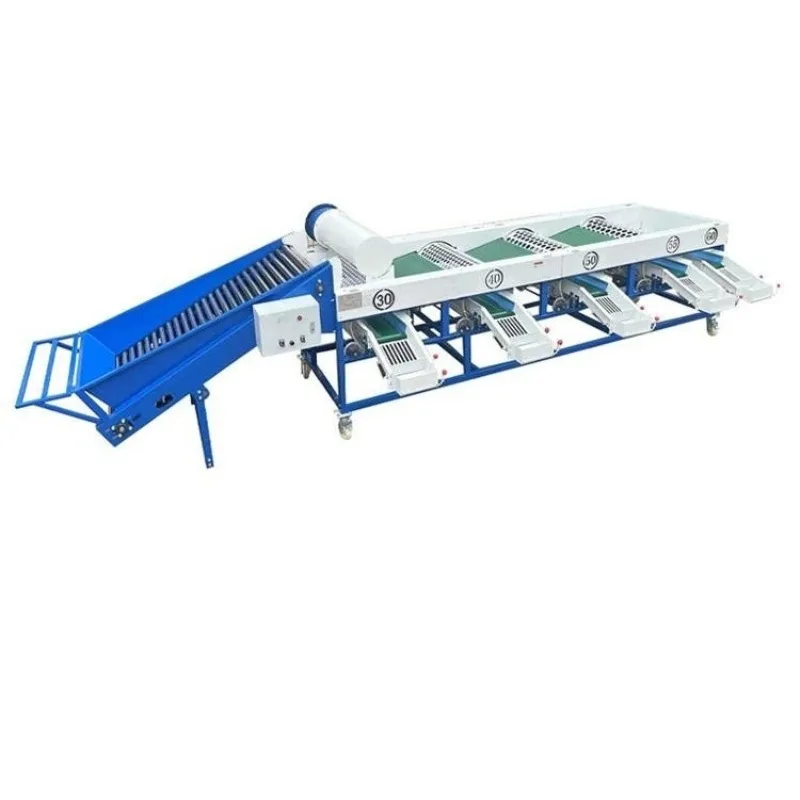 Industrial Capacity Garlic Sorting and Grading Machine Onion Size Sorting Machine for Fruit & Vegetable Industries