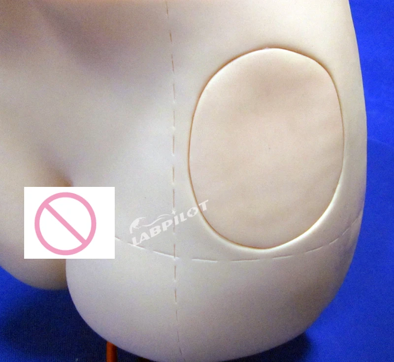 Wirtschaftliches Gesäß Intramuskuläres Injektions-Trainingssimulator-Hüftmodell