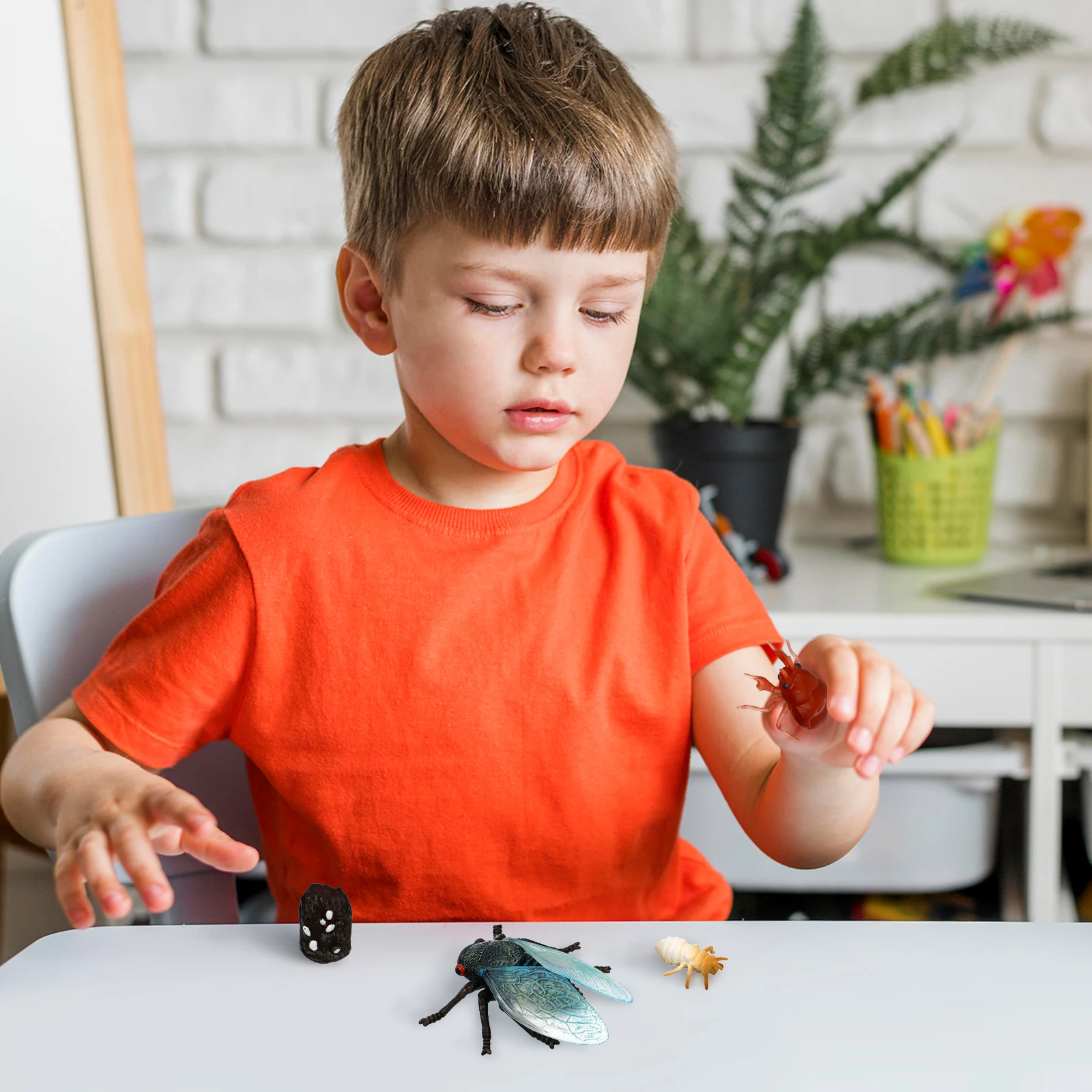 

1Set Cicada Life Cycle Simulation Animal Learning Science Education Realistic Insect Figures Desktop Decoration Goodie Bag