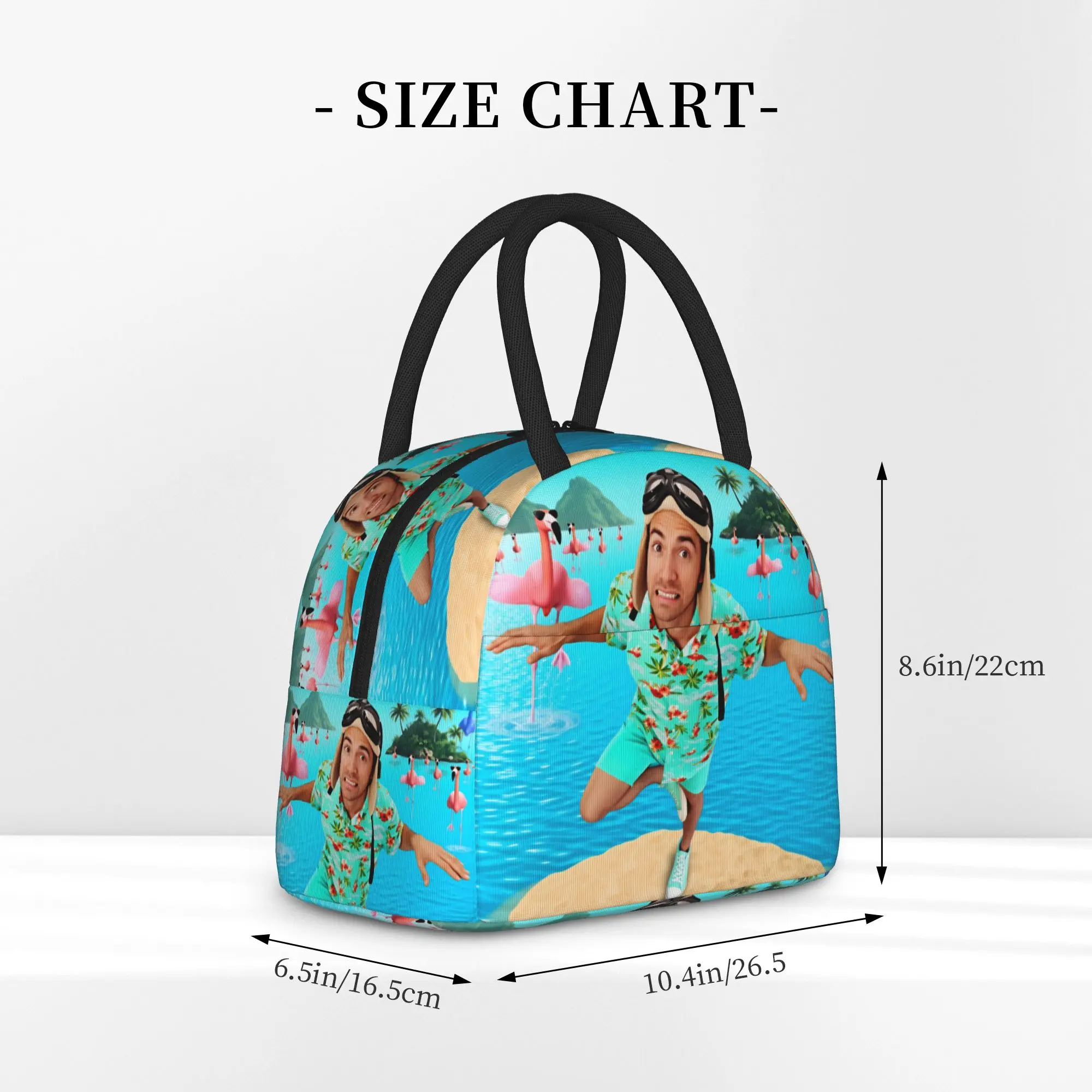 Danny Go Animated Programs Lunch Bag For Women Print Lunch Box Outdoor Picnic Cooler Bag Portable Waterproof Tote Food Bags