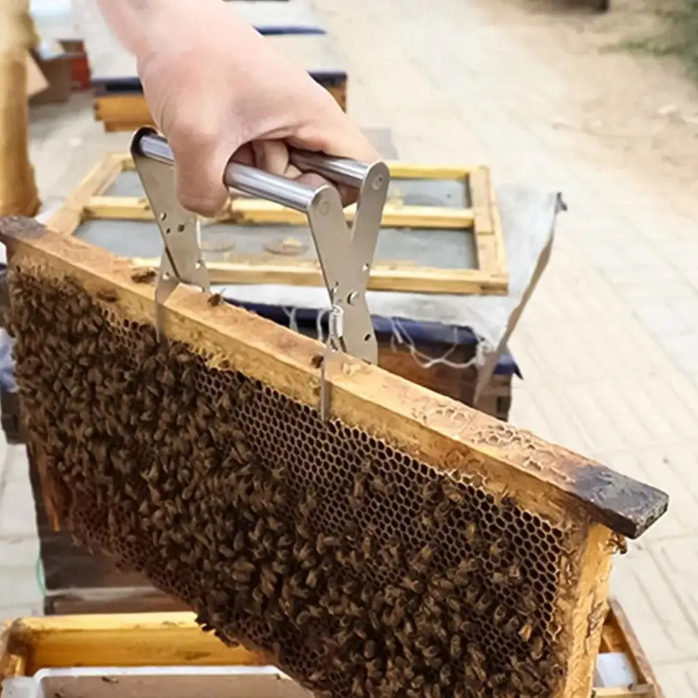 Edelstahl Bienenstock Rahmen Clips Halter Nistkasten Klemme Waben Milz Lifter Fang griff Imkerei Ausrüstung