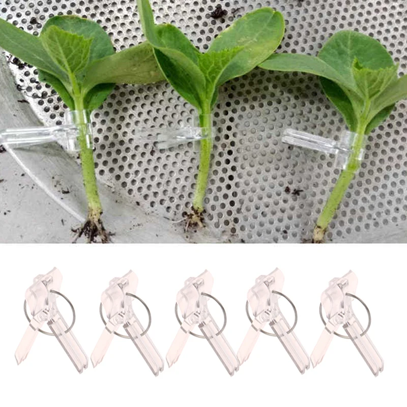 100Pcs 15x35MM Grafting Clips Vegetables Grafted Clamp Garden Plants Seedling Transparent Plastic Joint Gardening Tools