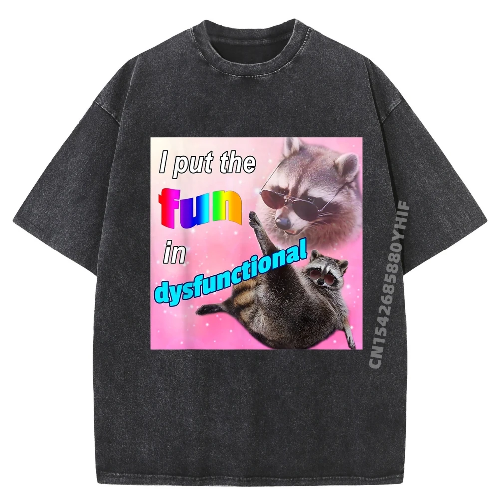 

I Put The Fun In Dysfunctional Raccoon Meme Mens Clothing Funny Printed Tees Mens Breathable Washed Clothes