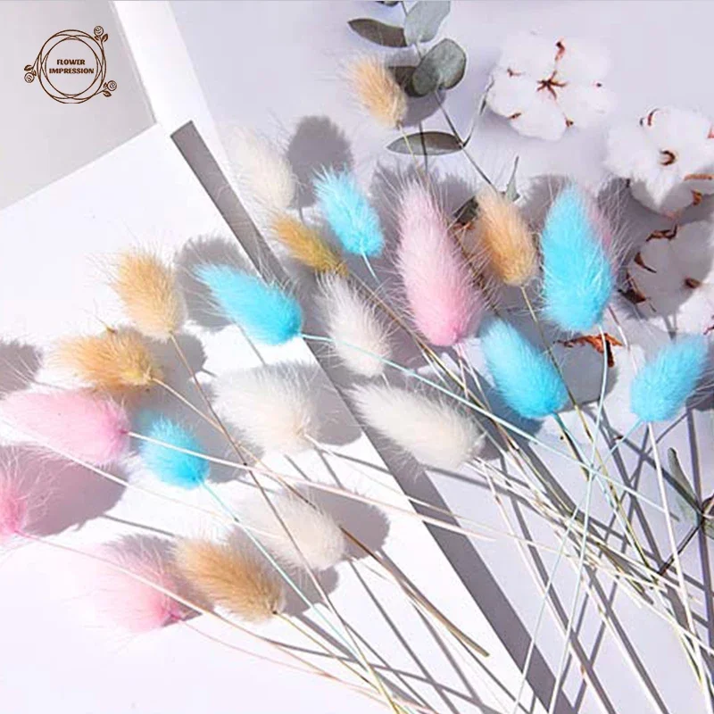 Hierba de cola de conejo seca, mezcla de 60 piezas, flores naturales preservadas, ramo de Decoración de mesa de boda, arreglo de flores para el hogar