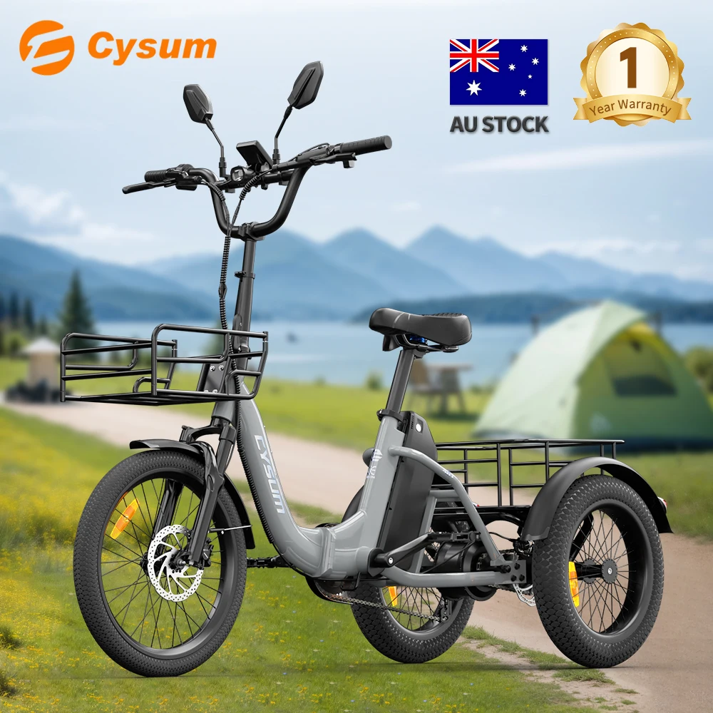 Foldable Electric Tricycle with Removable Battery and Basket