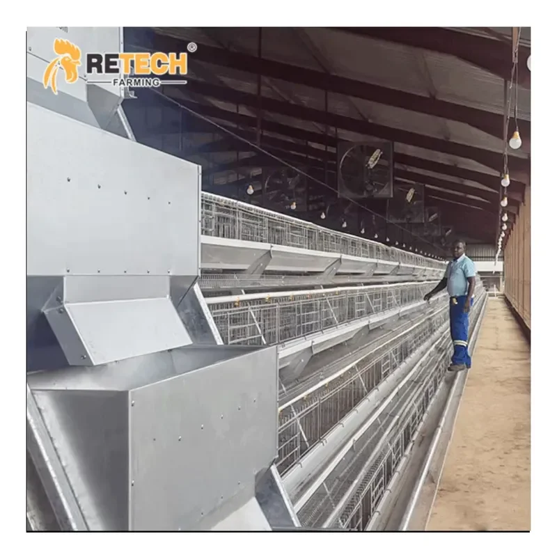 Automatic 3-Tier and 4-Tier Layer Chicken Battery Egg Cages for Chicken Farm