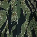 TC