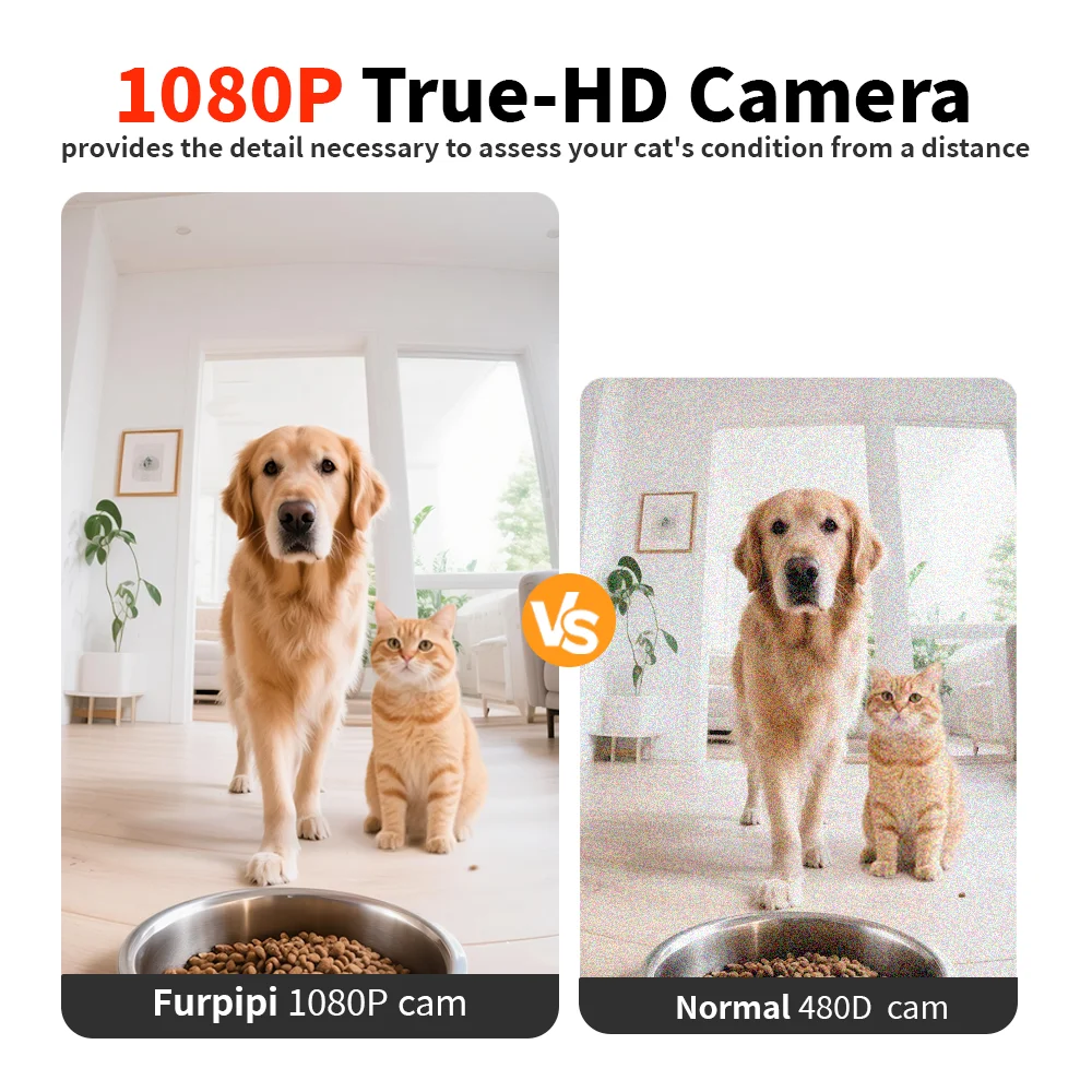 Thumbnail 3 - #30 Cheap Automatic Dog Feeders Worth Buying