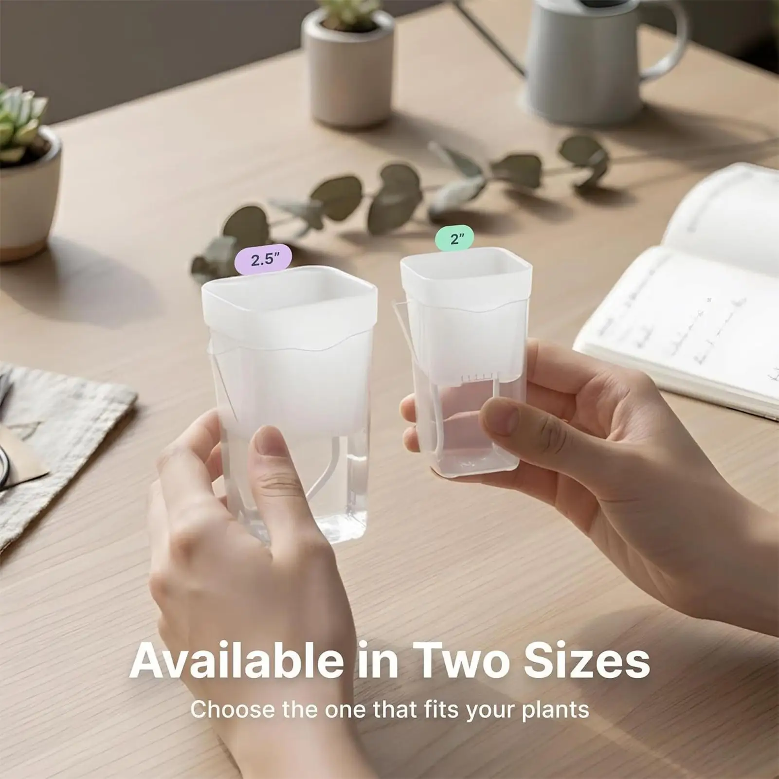 10 Pieces Indoor Plant Pot Transparent Self-Watering Planter Small Hydroponic Propagation Pots for African Violets Alocasia - view 3