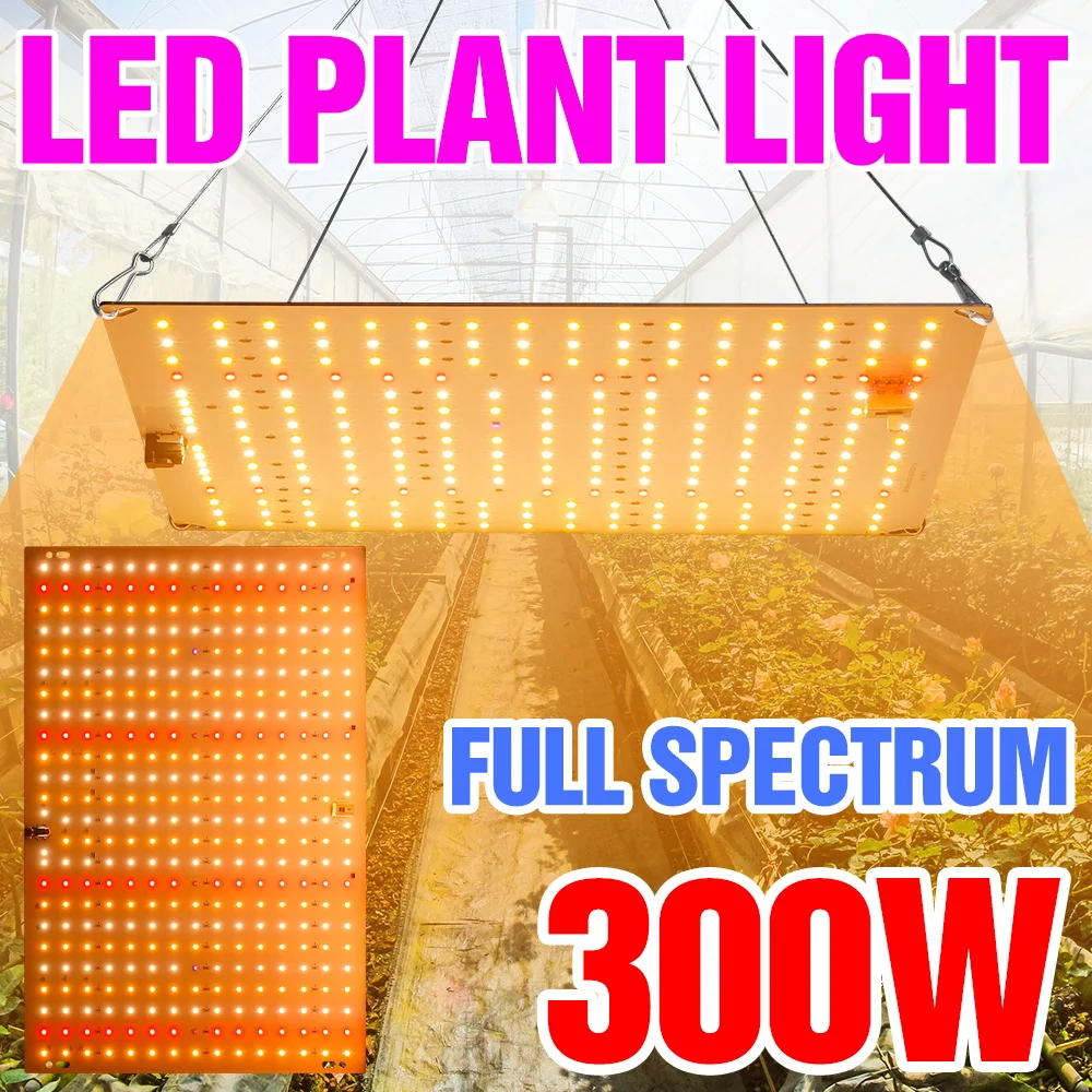 

300W LED Full Spectrum Quantum Board Plant Grow Light Indoor Greenhouse Tent Seeds Cultivation Fill Lighting EU/US Plug 200/250W