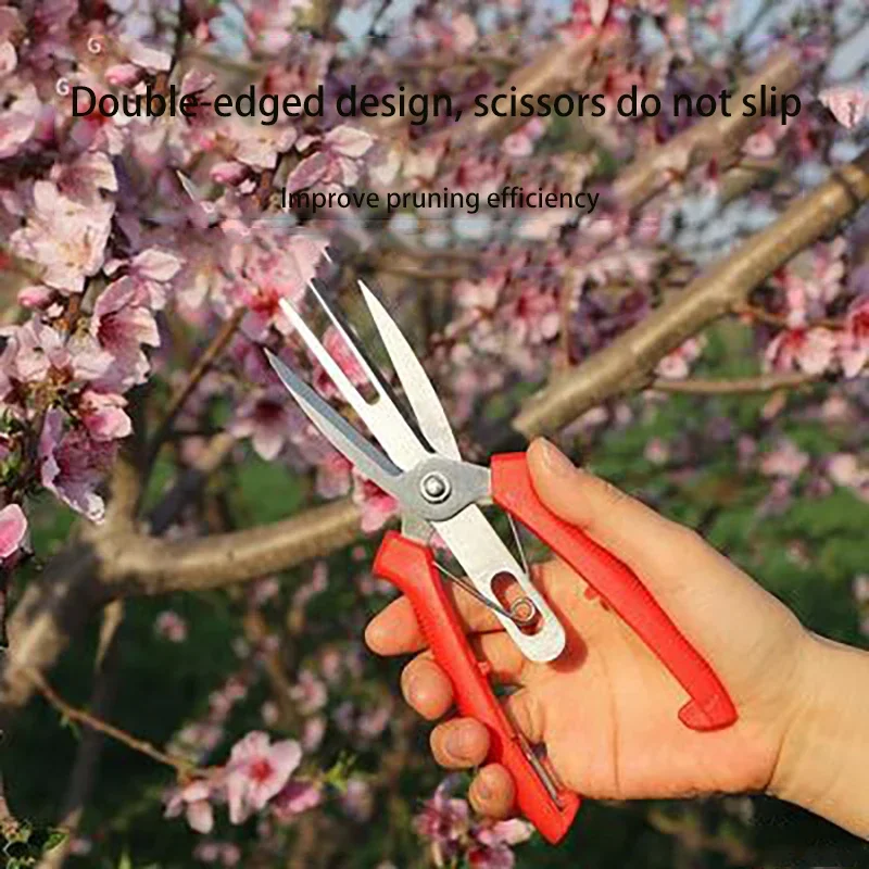 Doppelportige Landwirtschaftliche Ausdünnungsschere für Obst, Blumen und Bonsai – Vielseitiges Gartenschere- und Kultivierungswerkzeug – Detail 2