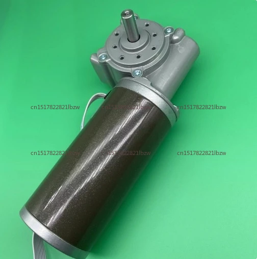 24V 60W 100W High Torque Worm Gear Motor Intelligent Encoder Electric Door Motor for Hotels Automatic Door