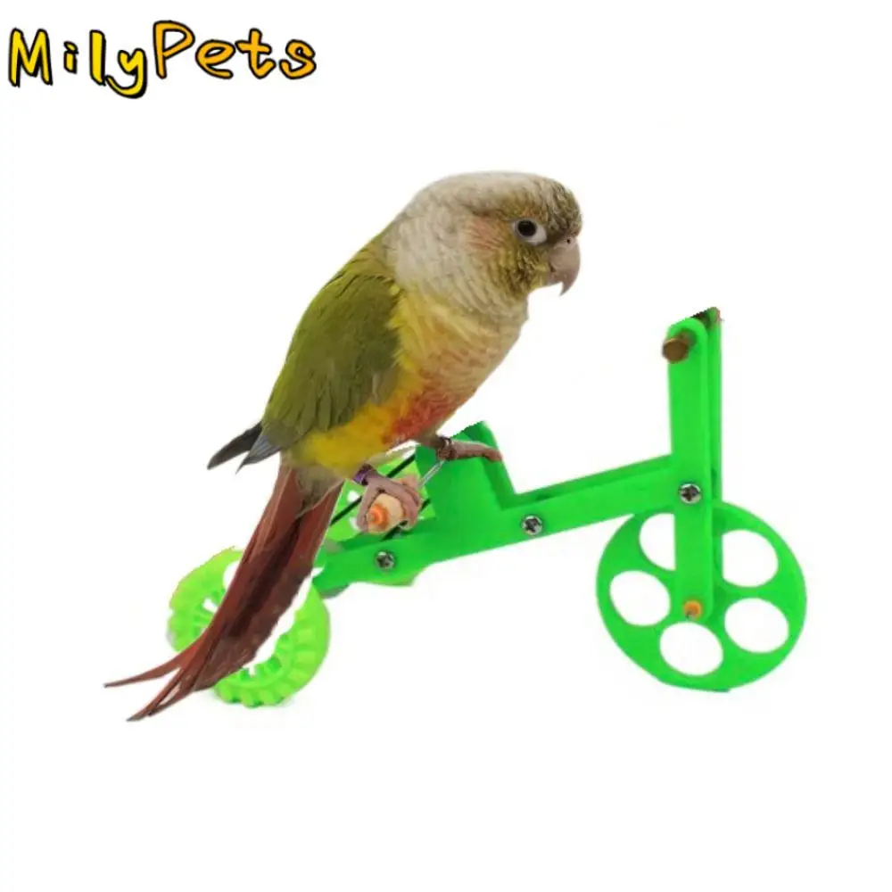 

Funny Parrot Bike Toy Plastic Interactive Parrot Training Bicycle Green Parrot Puzzle Bicycle Toy