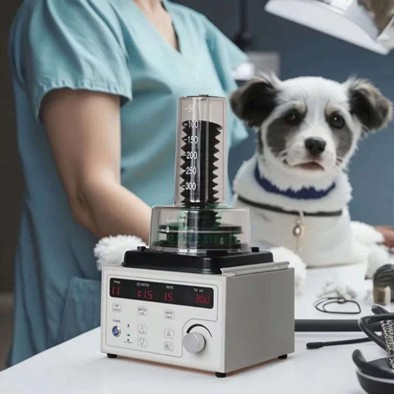 

Veterinary Equipment Vet Anesthesia Ventilator for Animal Hospital