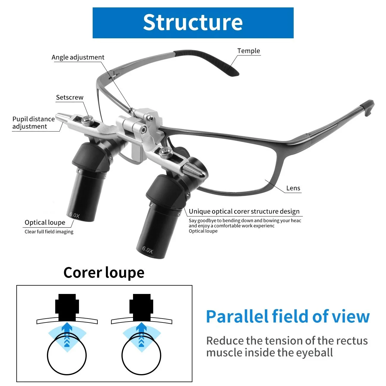 4-6X loupes Dental Binocular Magnifying Glasses 48° Wide Angle Prevention Cervical Spondylosis Magnifier Dental Loupes No LED