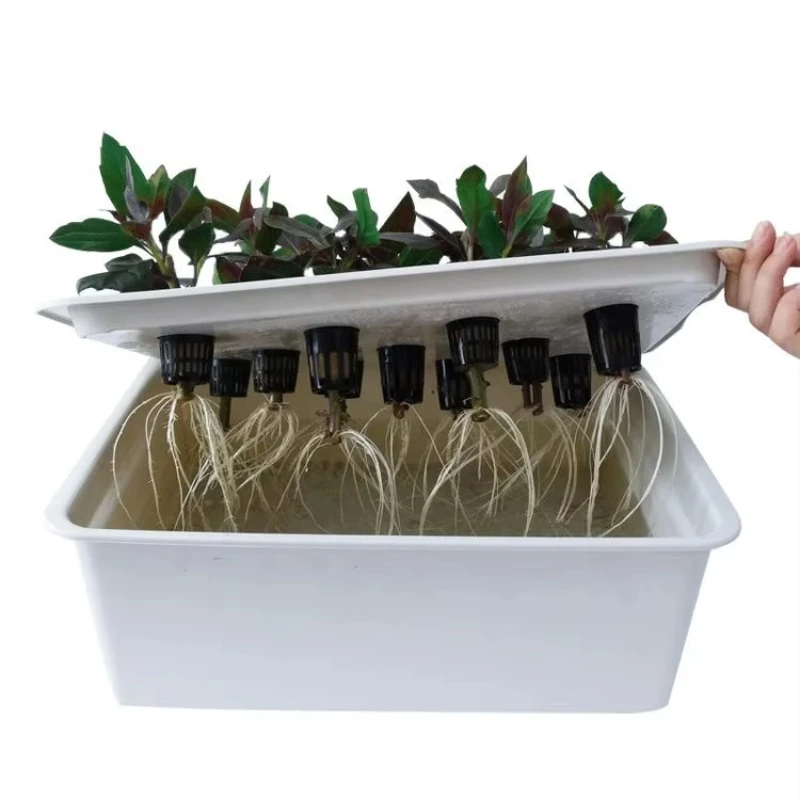 New Indoor Plastic Hydroponic Growth Box