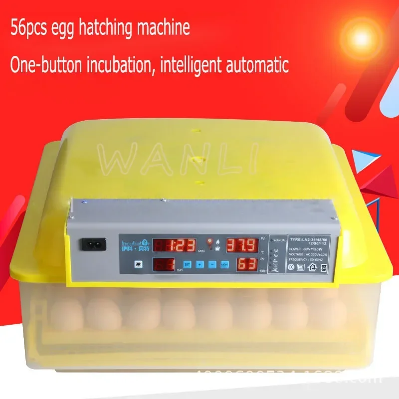 110V/220V  Incubator