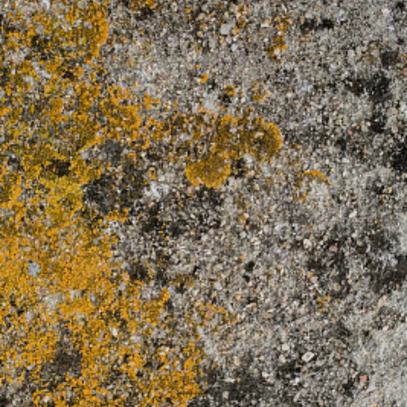 

FMS 1/24 Xiaoqi FCX24 RC Car Parts Metal Upgrade CNC Front Axle Housing Steering Cup