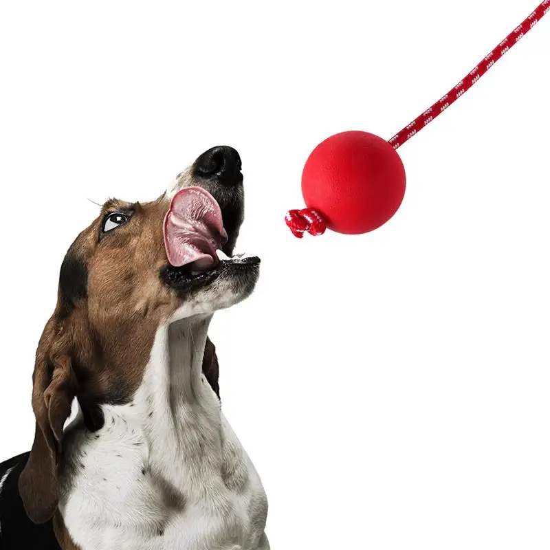 Safe Ergonomic Interactive Toy Dog Ball On String For Training Exercising Pets Solid Rubber Ball With Rope Launcher Thrower