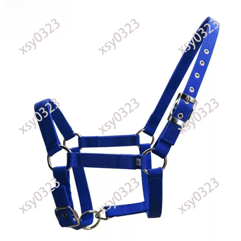 Adjustable Equestrian Horse Halter 25mm PP Strap Metal Buckle 3 Colors Fit 0.9-1.75m Horses