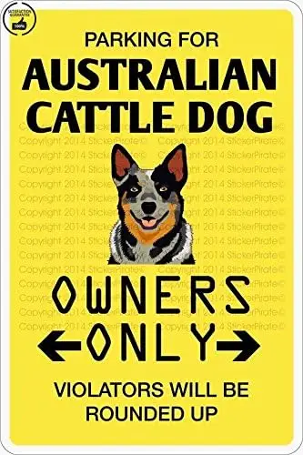 Parking for Australian Cattle Dog 8