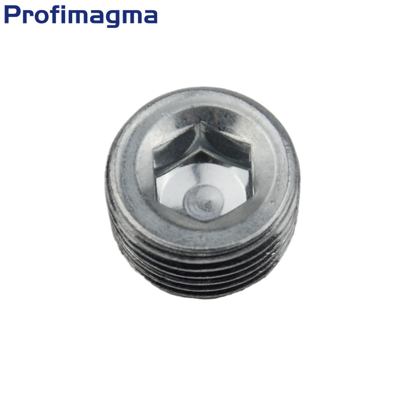 

304 stainless steel hexagon plug 1/8 1/4 1/2 3/4 Outer wire Plugs fittings