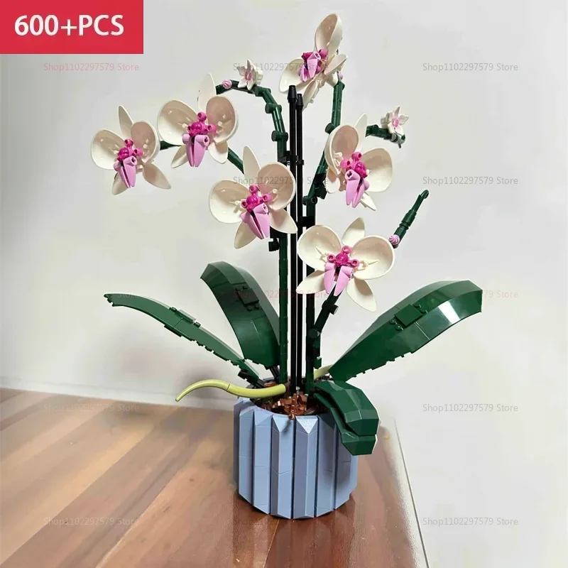 

New Ideas 600+PCS Bouquet Of Artificial Flower Orchid Potted Plants Building Blocks Model Brick Moc For Girls Toys DIY Mom Gifts