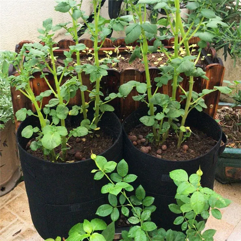 【ELEVATE LIFE】3-Pack 10 Gallon Potato Grow Bag, Grow Bags with Handles and Visualized Flap, Thickened and Breathable Non-Woven P