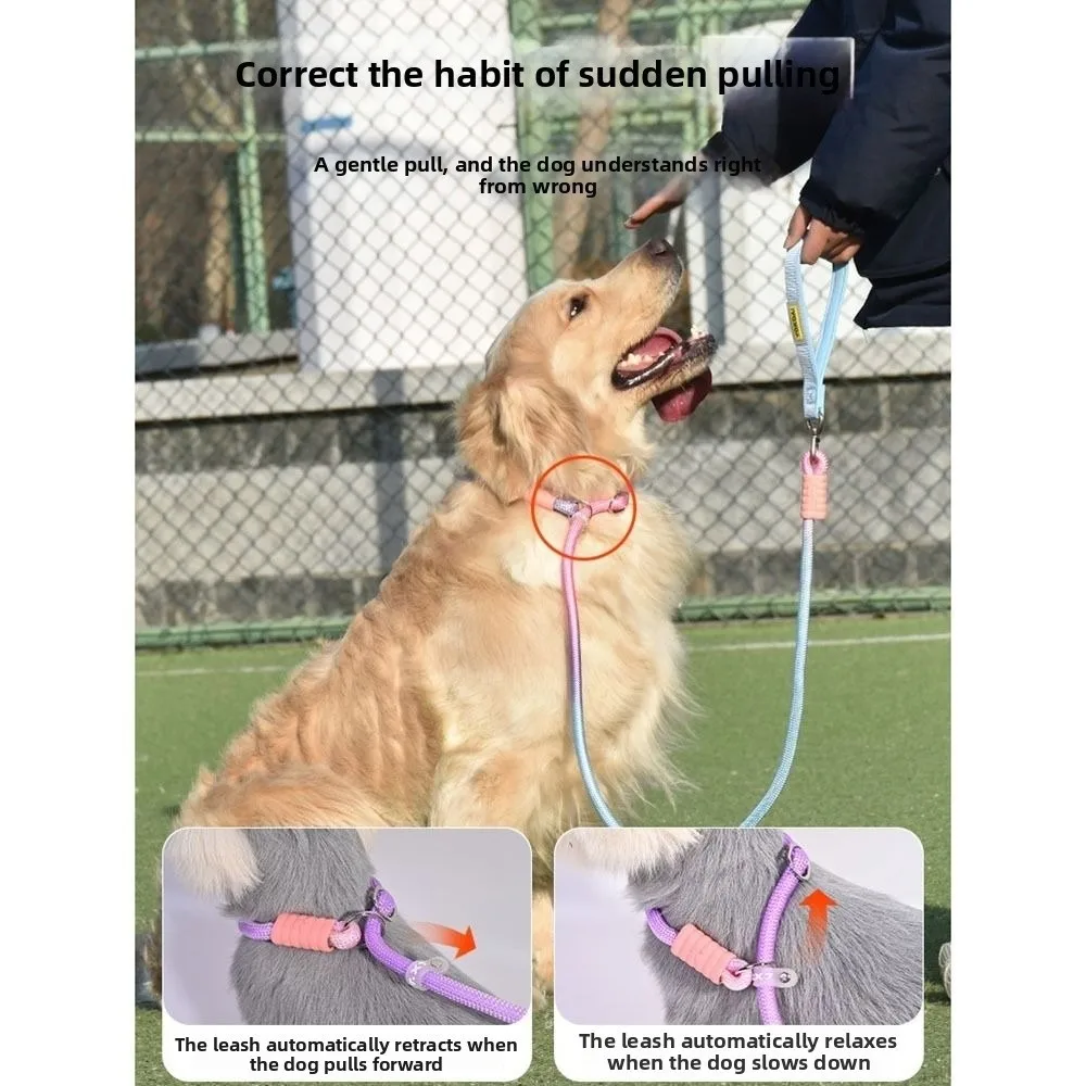 Gradient Color Dog Leash Heavy Duty Nylon Anti-Pull Leash Adjustable Anti-Tangling Pet Training Leash for Medium and Large Dogs