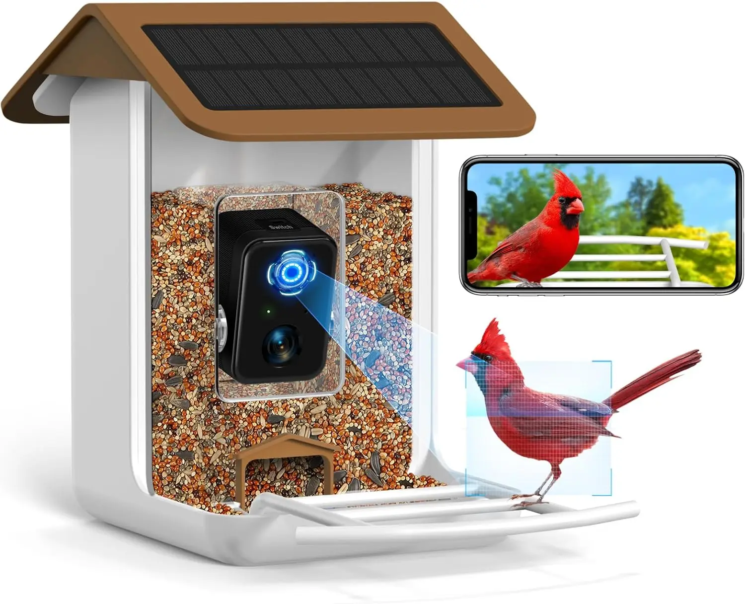 Intelligent bird feeder camera, free AI Forever, 32G TF card and 1080P high-definition camera automatically capture bird videos