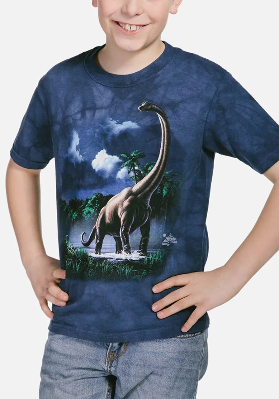 Prehistoric Fierce Dinosaur Print T Shirt for Boys Breathable Summer Sports Training Casual Streetwear Top
