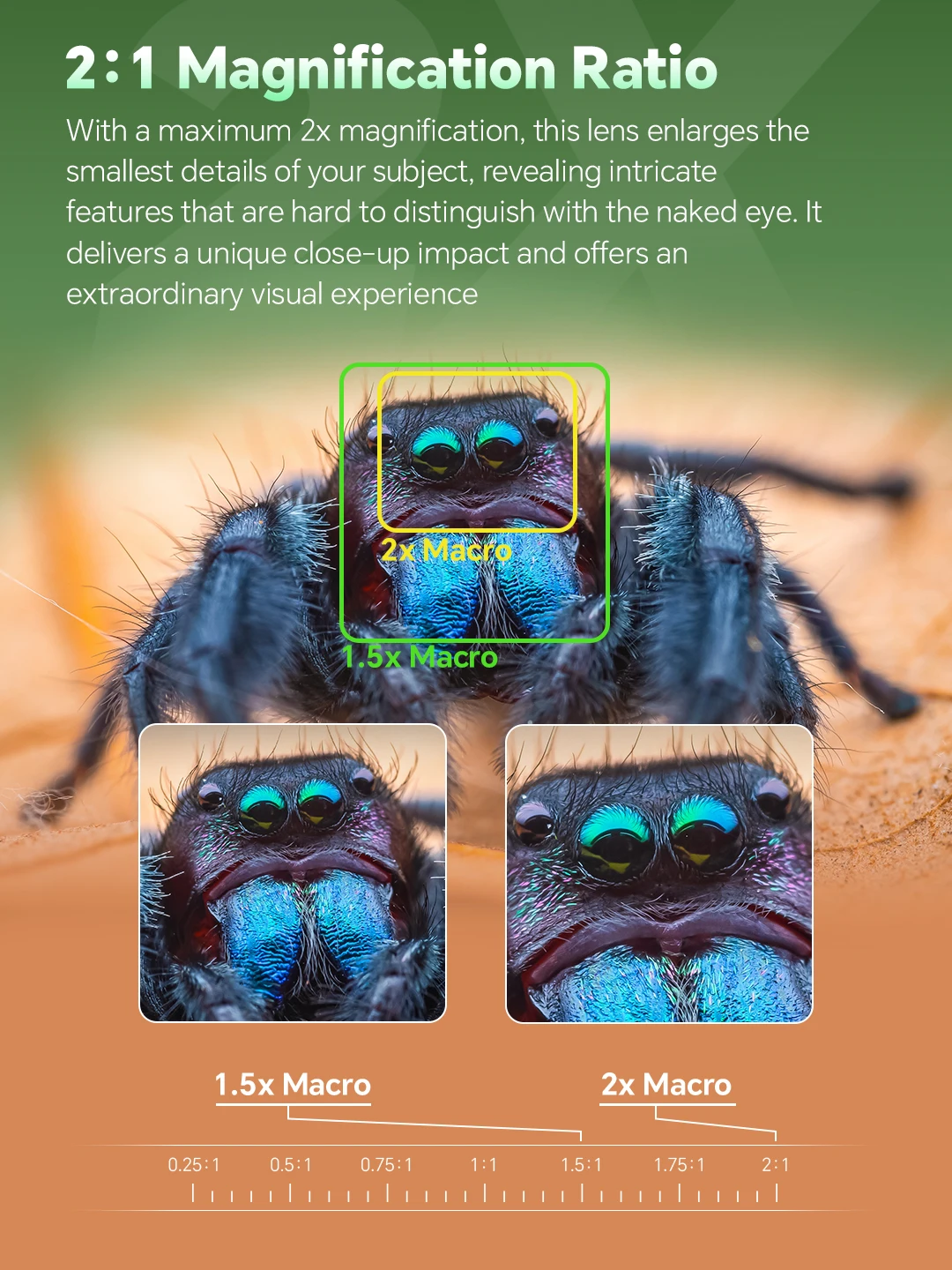 7artisans 60mm F2.8 Full Frame 2X Macro Lens for Sony E, Nikon Z, Canon RF Mount Cameras for A7IV A7III Z6 Z7 Z30 R5 R6 RP R50