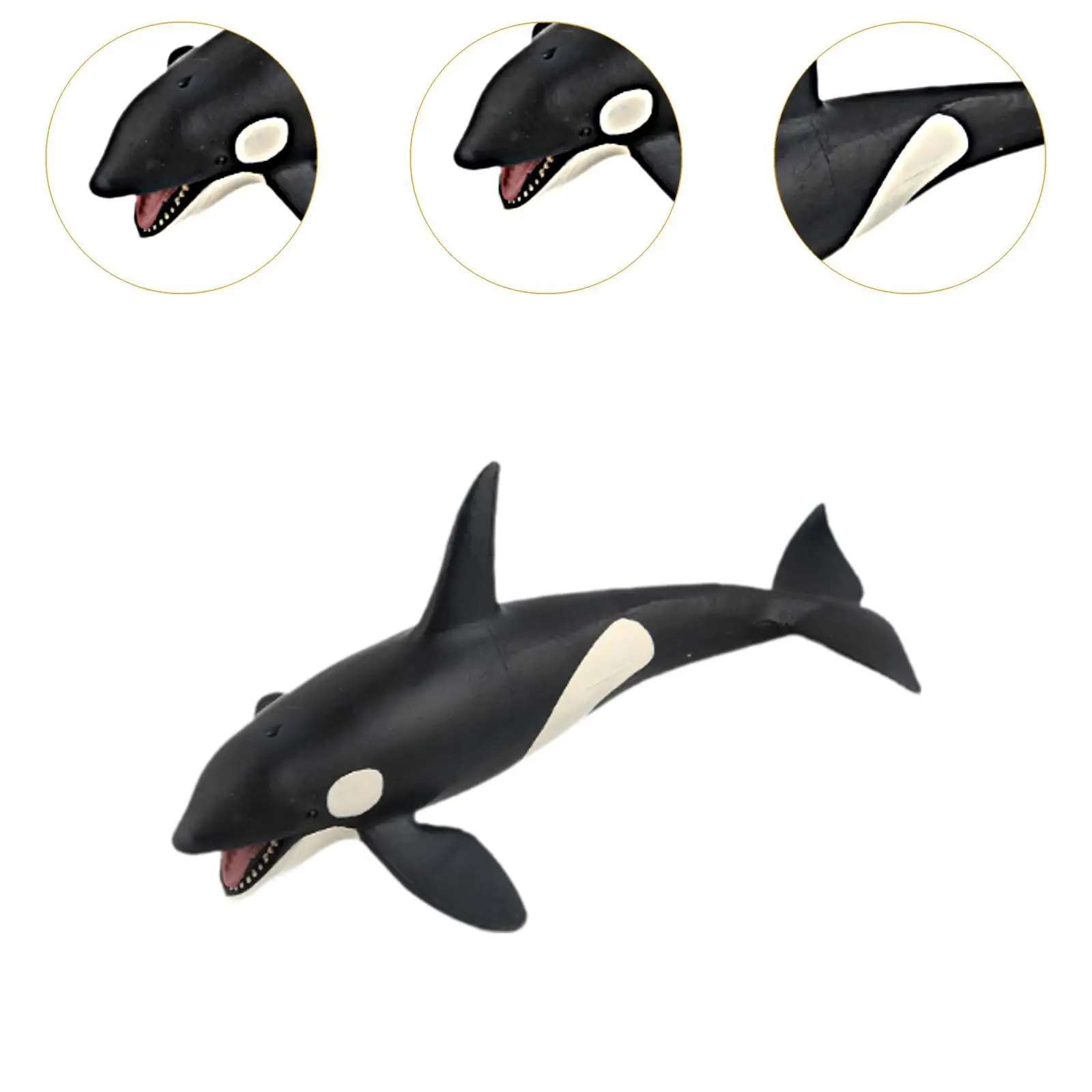 Realistic Whales Figures Model Sea Animal Figurines Cognitive Educational Toy Kids Play Toy Simulation for Boys Kids Gifts