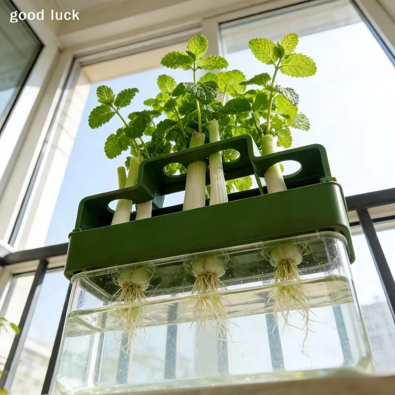 Alat Penanaman Khusus untuk Ba - Hydroponic System ulasan dan harga