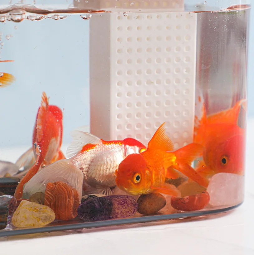 Kleines Fischbecken, kleines Desktop-Aquarium für das Wohnzimmer mit Luftpumpe, für faule Hausbewohner, kein Wasserwechsel nötig, ökologisches Aquarium. – Detail 6