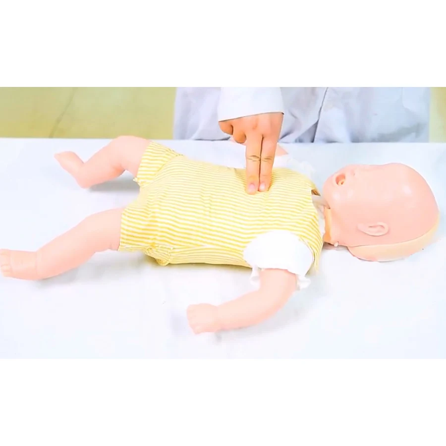 

Infant Airway Obstruction and Choking Model,Baby Heimlich Maneuver Training Simulator