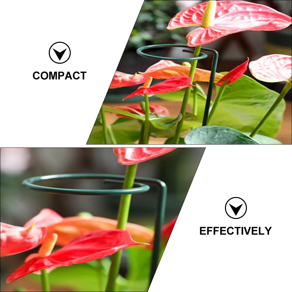 5 шт., железные опорные колья для растений, пластиковые держатели для цветов премиум-класса для стеблей растений, садовый декор, садовые принадлежности 5 шт., железные опорные колья для растений, пластиковые держатели для цветов премиум-класса для стеблей растений, садовый декор, садовые принадлежности