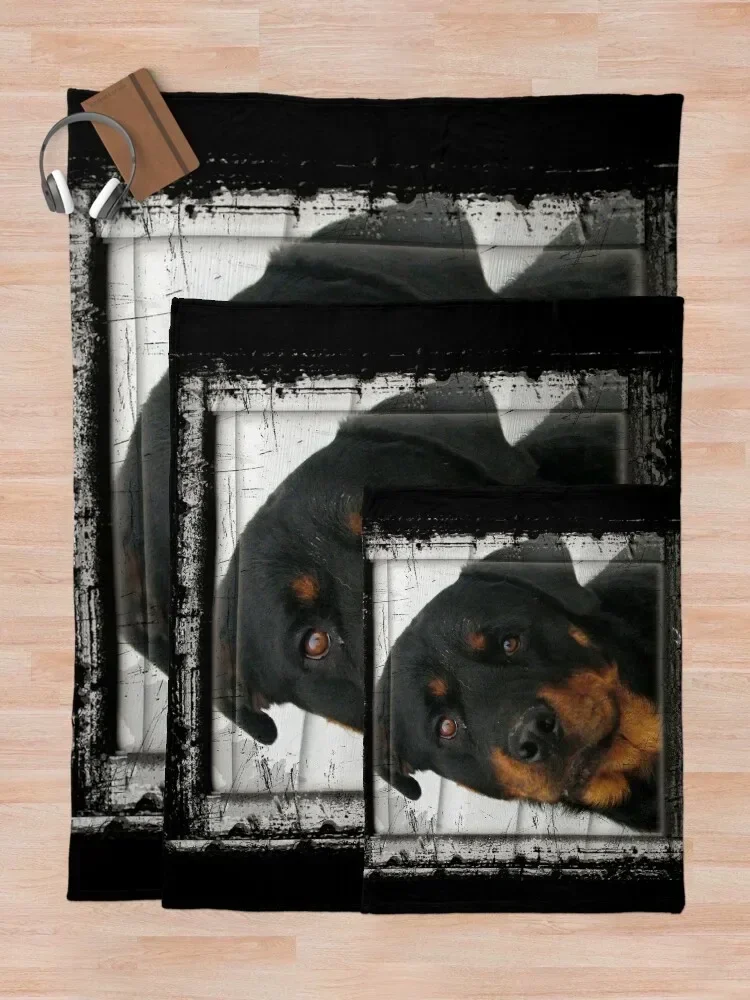 Manta Rottweiler, mantas de felpa extragrandes