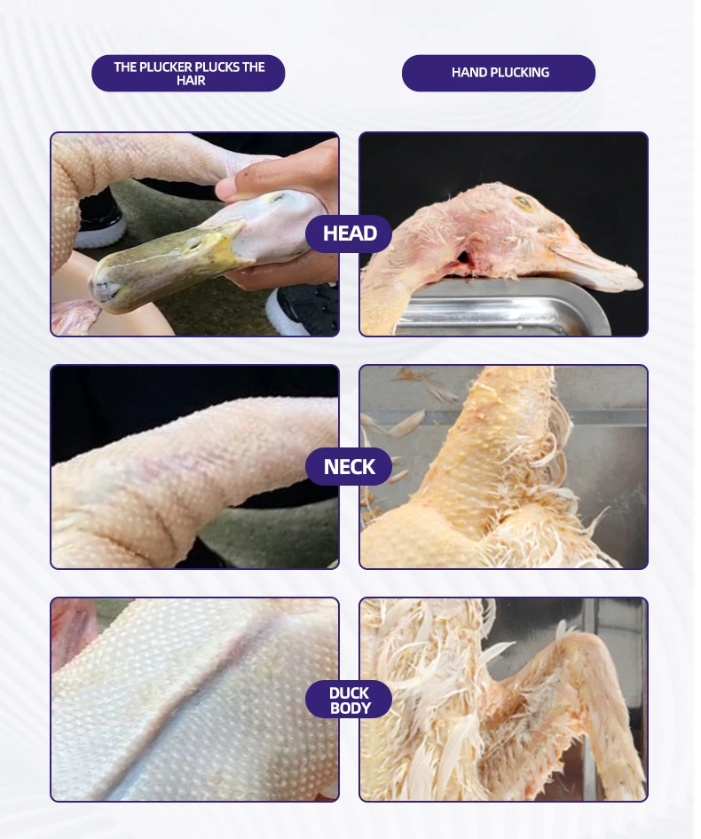 Handheld Poultry Plucking Machine Automatic Chicken Feather Removing Tool Electric Poultry Hair Removal Machine