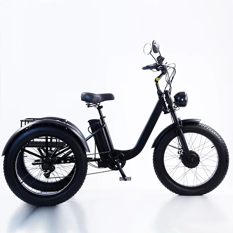 24-Inch fat tire 750W pedal power electric tricycle rough tire snow lithium battery tricycle