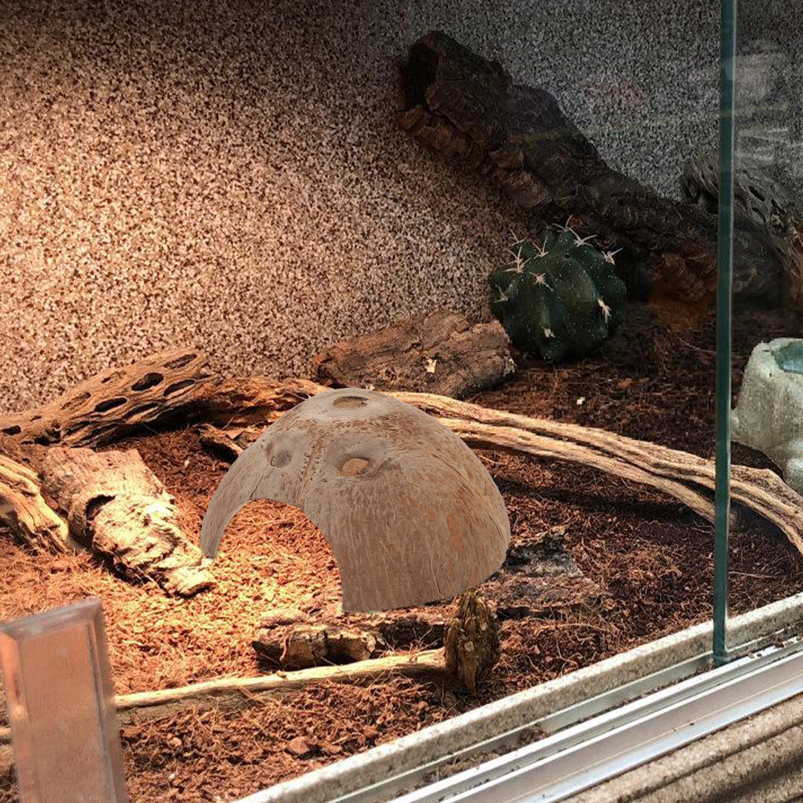 

3Pcs Coconut Shell Reptile Hideout Durable Shelter Small Decorative Terrarium Accessories Wear Resistant Pet Supplies