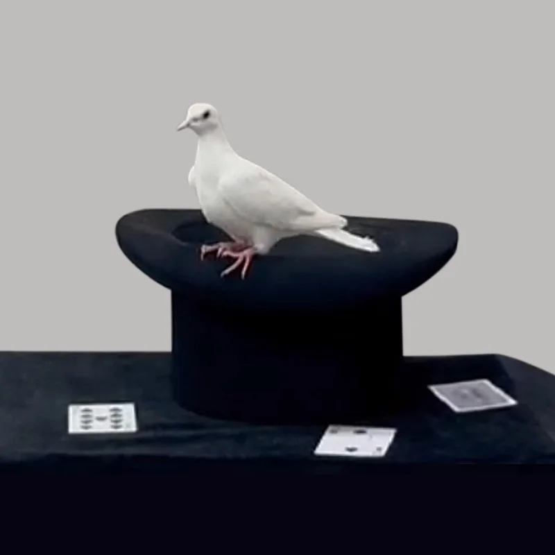 Magic Tricks Dove Hat The Scarf Disappeared Stage Props Professional Magician Street Magia Gimmick Comes With Silk cane fly card