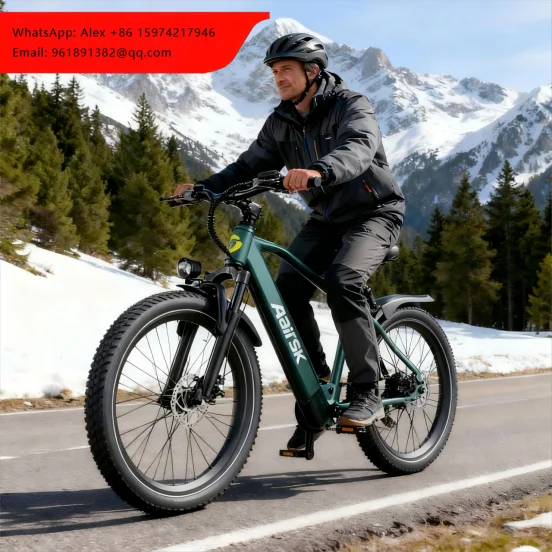 

Direct Factory Price GT300 Electric 24-Inch Adult Mountain Bike 250W Rear Hub 36V Lithium Battery Aluminum Alloy Frame Hydraulic