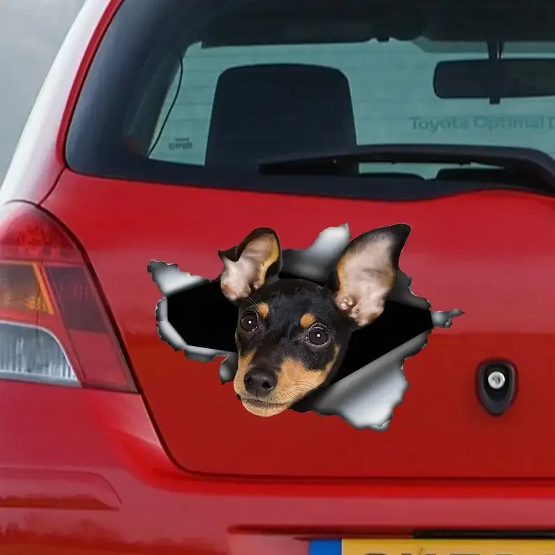 Miniature pinscher car decal , Miniature pinscher magnet, car decoration, pinscher sticker