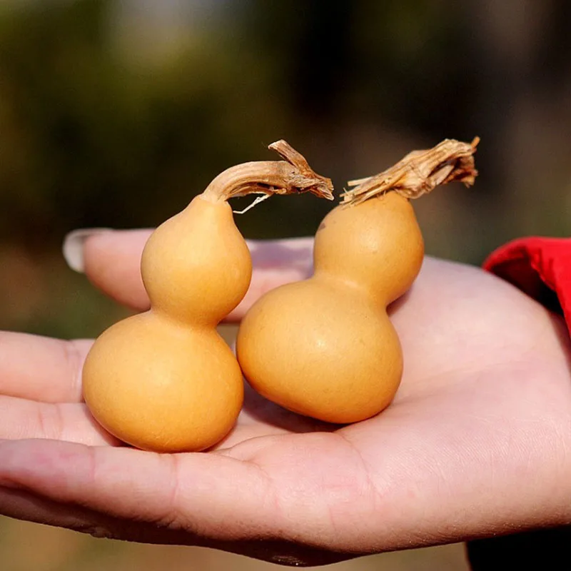 10pcs Mini Natural Dried Gourds Craft Small Calabash Gourd Plant Little Gourd/Dried Lagenaria siceraria Gourds