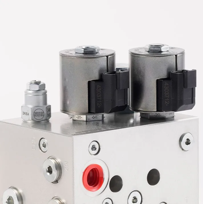 Zawór słoneczny Nowe zawory sterujące hydrauliczne ze stali nierdzewnej Wkład odpowietrzający Zawór kierunkowy Zawór zwrotny Zawór sterowany ręcznie 1 rok gwarancji